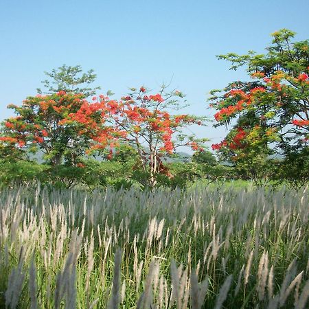 منتجع ليلاوالاي Nong Nam Daeng المظهر الخارجي الصورة